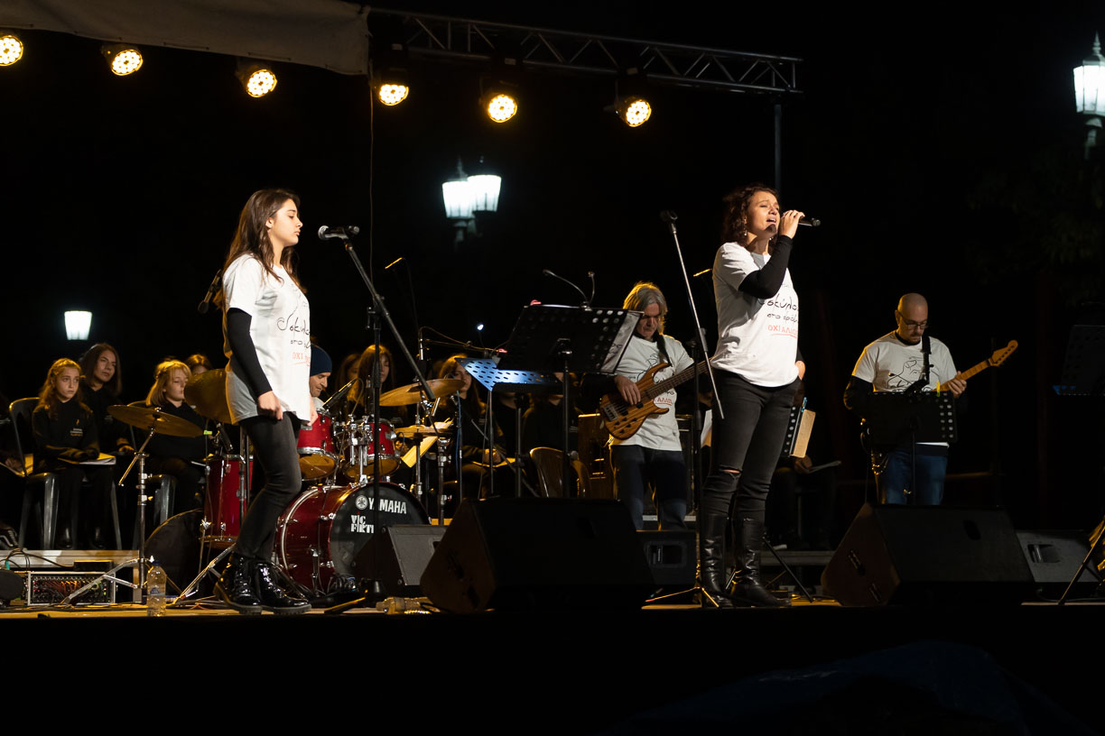 Σκύλος στο δρόμο