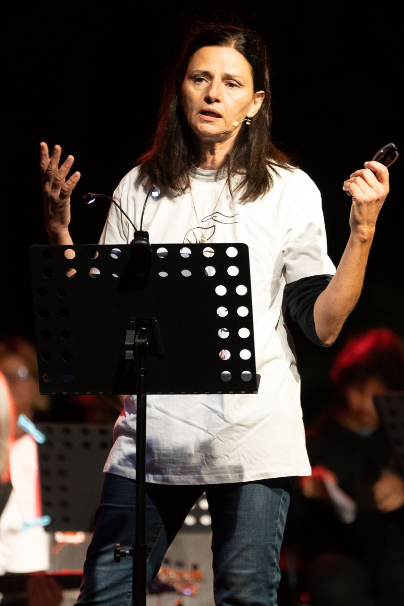 Σκύλος στο δρόμο